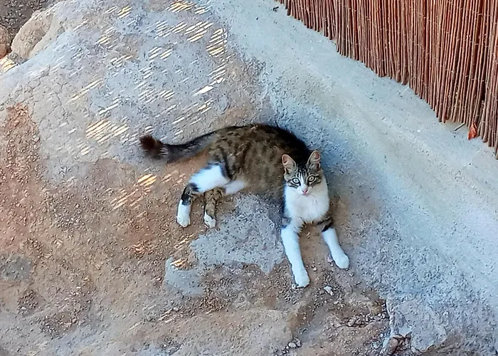 Gæstehus Eco-finca Azuay - Cave Refuge