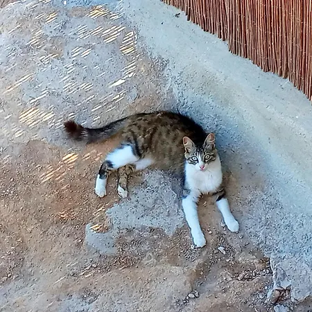 Gasthof Eco-finca Azuay - Cave Refuge